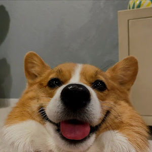 Meet your Posher, Lizeth